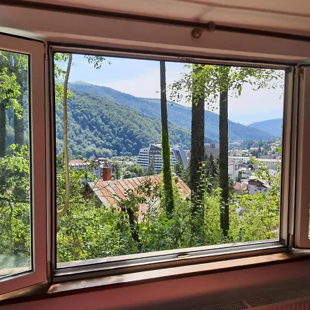 Tudor View Apartament Sinaia Extérieur photo