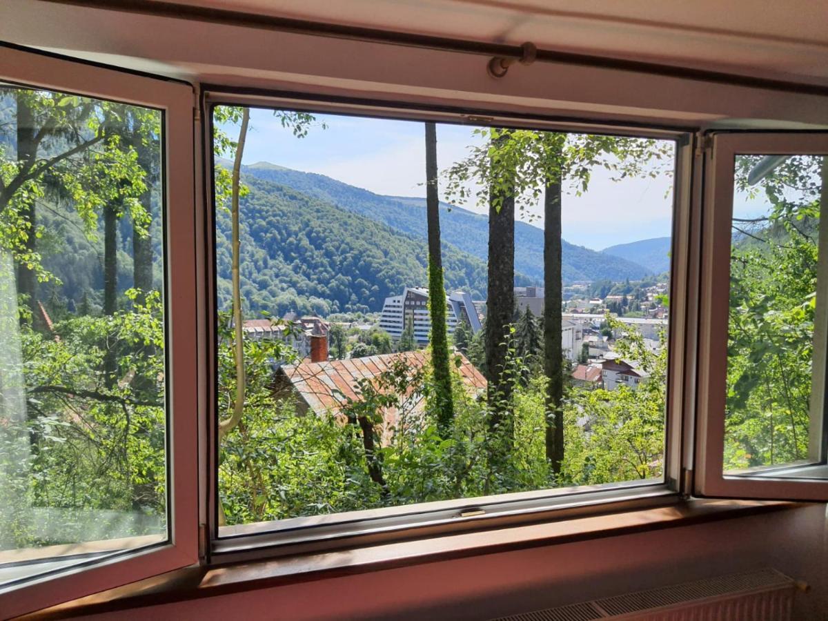 Tudor View Apartment Sinaia