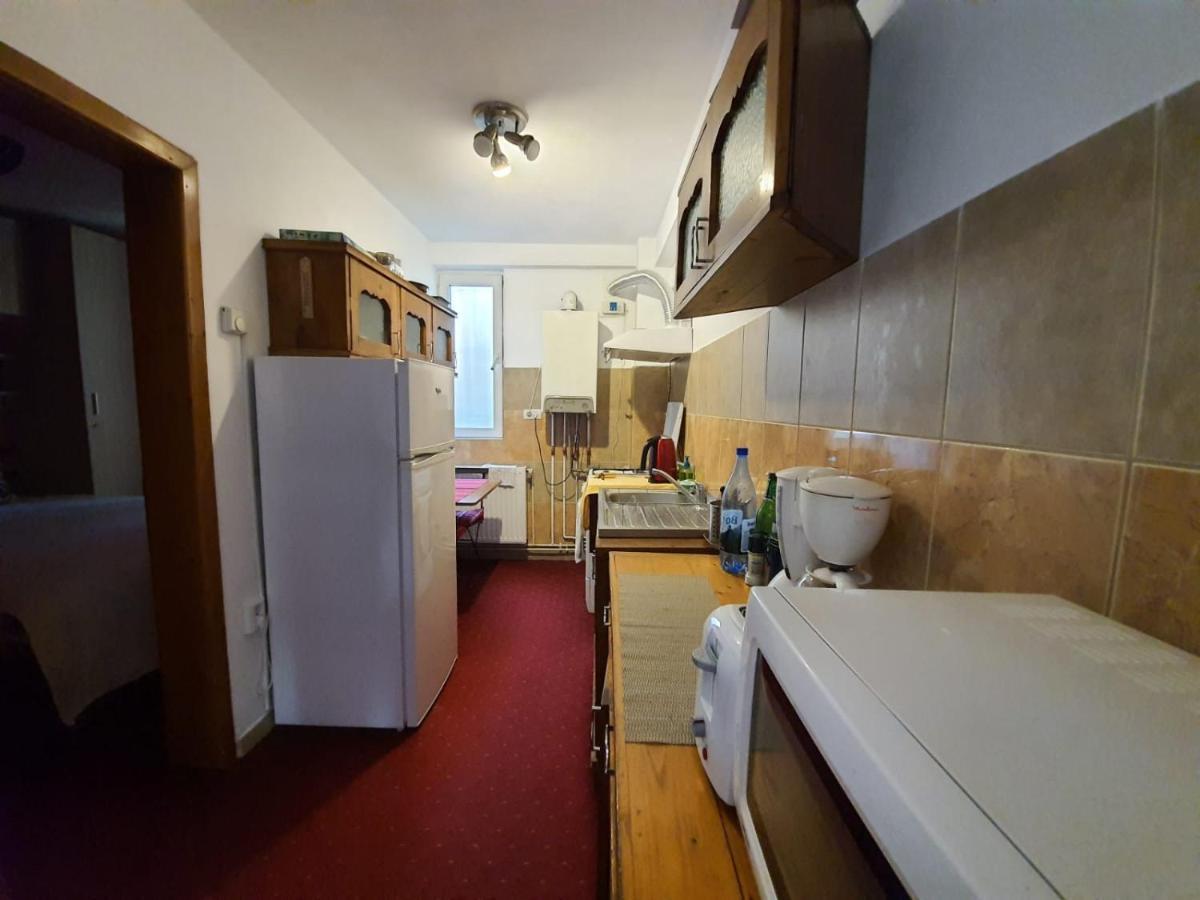 Tudor View Apartment Sinaia