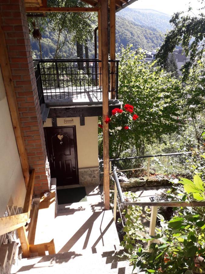 Apartment Tudor View Sinaia