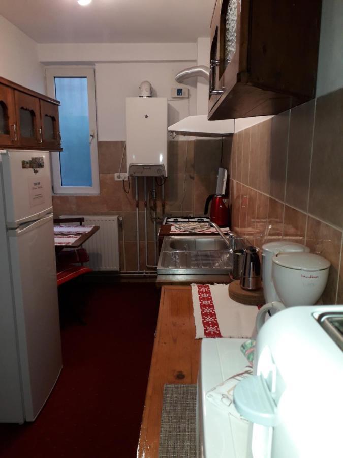 Tudor View Apartment Sinaia