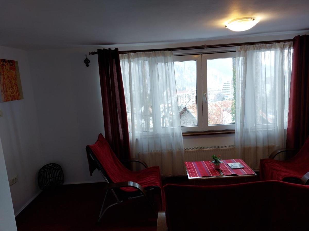 Tudor View Apartment *