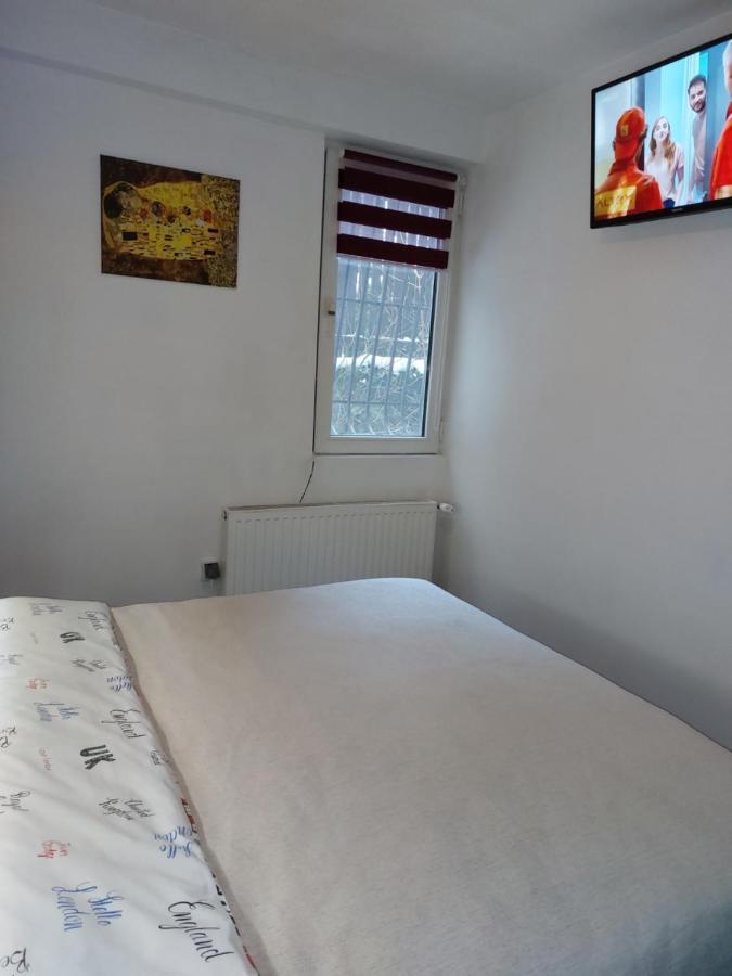 Apartment Tudor View Sinaia